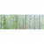 Textil Ersatzdruck Nebliger Birkenwald Panorama Motivvorschau