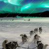 Textil Ersatzdruck Nordlichter Und Schlittenhunde Schmal Zoom