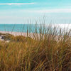 Textil Ersatzdruck Nordseelandschaft Auf Sylt Quadrat Zoom
