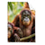 Textil Ersatzdruck Orang Utan Familie Im Regenwald Hochformat Produktvorschau Frontal