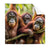 Textil Ersatzdruck Orang Utan Familie Im Regenwald Quadrat Produktvorschau Frontal