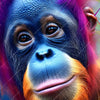 Textil Ersatzdruck Orang Utan In Regenbogenfarben Querformat Zoom