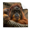 Textil Ersatzdruck Orang Utan Mit Sanftem Blick Quadrat Produktvorschau Frontal