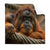 Textil Ersatzdruck Orang Utan Mit Sanftem Blick Quadrat Produktvorschau Frontal