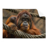 Textil Ersatzdruck Orang Utan Mit Sanftem Blick Querformat Produktvorschau Frontal