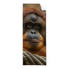 Textil Ersatzdruck Orang Utan Mit Sanftem Blick Schmal Produktvorschau Frontal