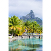 Textil Ersatzdruck Palmen Berg Auf Insel Hochformat Motivvorschau