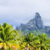 Textil Ersatzdruck Palmen Berg Auf Insel Hochformat Zoom