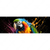 Textil Ersatzdruck Papagei Mit Bunten Farbspritzern Panorama Motivvorschau