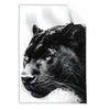 Textil Ersatzdruck Schwarzer Panther Hochformat Produktvorschau Frontal