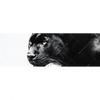 Textil Ersatzdruck Schwarzer Panther Panorama Motivvorschau