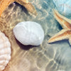 Textil Ersatzdruck Seesterne Muscheln Schmal Zoom