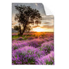 Textil Ersatzdruck Sonnenaufgang Im Lavendelfeld Hochformat Produktvorschau Frontal