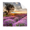 Textil Ersatzdruck Sonnenaufgang Im Lavendelfeld Quadrat Produktvorschau Frontal