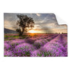 Textil Ersatzdruck Sonnenaufgang Im Lavendelfeld Querformat Produktvorschau Frontal