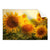 Textil Ersatzdruck Sonnenblumen Im Abendlicht Querformat Produktvorschau Frontal
