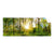 Textil Ersatzdruck Sonnenlicht Im Wald Panorama Produktvorschau Frontal