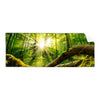 Textil Ersatzdruck Sonnenstrahlen Im Dichten Wald Panorama Produktvorschau Frontal