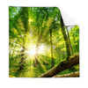 Textil Ersatzdruck Sonnenstrahlen Im Dichten Wald Quadrat Produktvorschau Frontal