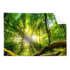 Textil Ersatzdruck Sonnenstrahlen Im Dichten Wald Querformat Produktvorschau Frontal
