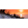 Textil Ersatzdruck Sonnenuntergang Mit Duene Und Meer Panorama Motivvorschau