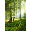 Textil Ersatzdruck Sonniger Morgen Im Wald Hochformat Motivvorschau