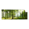 Textil Ersatzdruck Sonniger Morgen Im Wald Panorama Produktvorschau Frontal