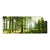Textil Ersatzdruck Sonniger Morgen Im Wald Panorama Produktvorschau Frontal