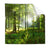 Textil Ersatzdruck Sonniger Morgen Im Wald Quadrat Produktvorschau Frontal