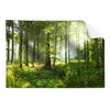 Textil Ersatzdruck Sonniger Morgen Im Wald Querformat Produktvorschau Frontal