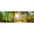 Textil Ersatzdruck Sonniger Wald Panorama Motivvorschau