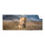 Textil Ersatzdruck Spiegelbild Loewe Loewenjunges Panorama Produktvorschau Frontal