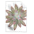 Textil Ersatzdruck Sukkulente No 1 Hochformat Produktvorschau Frontal