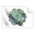 Textil Ersatzdruck Sukkulente No 3 Querformat Produktvorschau Frontal