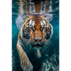 Textil Ersatzdruck Tauchender Tiger Hochformat Motivvorschau