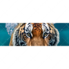Textil Ersatzdruck Tauchender Tiger Panorama Motivvorschau