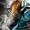 Textil Ersatzdruck Tiger Im Farbrausch Hochformat Zoom