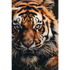 Textil Ersatzdruck Tiger Im Wasser Hochformat Motivvorschau