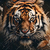 Textil Ersatzdruck Tiger Im Wasser Quadrat Motivvorschau