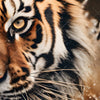 Textil Ersatzdruck Tiger Im Wasser Quadrat Zoom