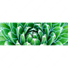 Textil Ersatzdruck Tropische Pflanze Panorama Motivvorschau