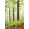 Textil Ersatzdruck Unberuehrte Natur Der Wald Hochformat Motivvorschau