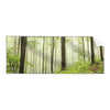 Textil Ersatzdruck Unberuehrte Natur Der Wald Panorama Produktvorschau Frontal