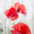 Textil Ersatzdruck Vintage Klatschmohn Hochformat Zoom