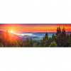 Textil Ersatzdruck Wald Bei Sonnenuntergang Panorama Motivvorschau