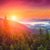 Textil Ersatzdruck Wald Bei Sonnenuntergang Querformat Zoom
