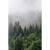 Textil Ersatzdruck Wald Im Nebel Hochformat Motivvorschau