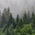 Textil Ersatzdruck Wald Im Nebel Quadrat Zoom