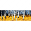 Textil Ersatzdruck Wald Mit Birkenbaeumen Panorama Motivvorschau