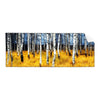 Textil Ersatzdruck Wald Mit Birkenbaeumen Panorama Produktvorschau Frontal